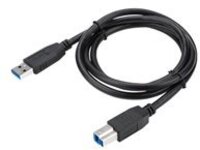 Targus - USB cable - USB Type B (M) to USB Type A (M)
