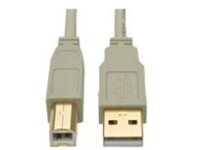 Tripp Lite 10ft USB 2.0 Hi-Speed A/B Cable M/M 28/24 AWG 480 Mbps Beige 10'