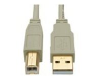 Tripp Lite 10ft USB 2.0 Hi-Speed A/B Cable M/M 28/24 AWG 480 Mbps Beige 10&#x27;
