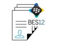 BlackBerry Enterprise Service Cloud Silver Universal Annual Subscription