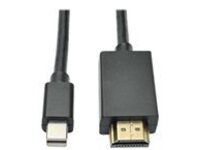 Tripp Lite 12ft Mini DisplayPort to HD Adapter Converter Cable Audio / Video mDP to HD M/M 12'