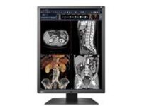EIZO RadiForce RX250 Single Head