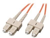 Tripp Lite 1M Duplex Multimode 50/125 Fiber Optic Patch Cable SC/SC 3' 3ft 1 Meter