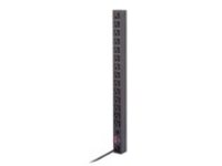 APC Basic Rack-Mount PDU