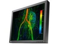 EIZO CuratOR EX190-S
