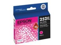 Epson 252XL With Sensor