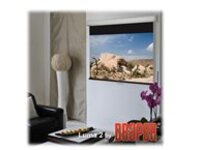 Draper Luma 2 - Projection screen