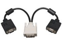 Tripp Lite 1ft DVI to VGA Splitter Adapter Converter DVI-A Analog M to 2x HD15F 1&#x27;