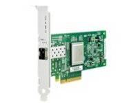 HPE StorageWorks 81Q