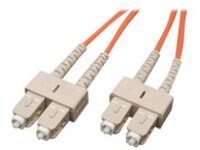 Tripp Lite 0.6M Duplex Multimode 62.5/125 Fiber Optic Patch Cable SC/SC 2&#x27; 2ft 0.6 Meter