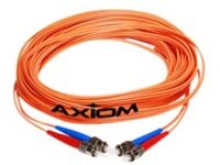 Axiom MTRJ-MTRJ Multimode Duplex OM1 62.5/125 Fiber Optic Cable
