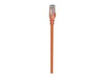 Intellinet - Patch cable