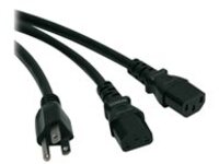 Tripp Lite 6ft Power Cord Y Splitter Cable 5-15P to 2xC13 10A 18AWG 6' - power splitter - 1.8 m