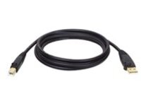 Tripp Lite 10ft USB 2.0 Hi-Speed A/B Device Cable Shielded Male / Male 10&#x27;