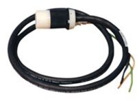 Tripp Lite 5ft Single Phase Whip 120V L5-20R for Breakered 3-Phase Distribution Cabinets 5'