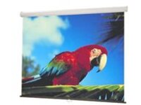 Draper Luma NTSC Format Fiberglass Matt White
