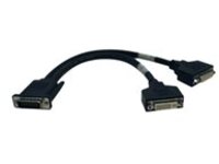 Tripp Lite 1ft DMS-59 Graphics Card to Dual DVI Splitter Y Cable M/Fx2 1' - DVI splitter - 30 cm