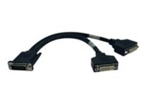 Tripp Lite 1ft DMS-59 Graphics Card to Dual DVI Splitter Y Cable M/Fx2 1'