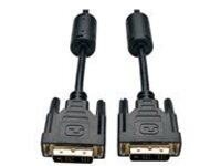 Tripp Lite 50ft DVI Single Link Digital TMDS Monitor Cable DVI-D M/M 50' - DVI cable - 15.2 m