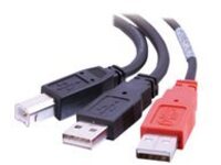 C2G "Y" Cable - USB cable