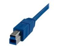 StarTech.com 6 ft / 2m SuperSpeed USB 3.0 Cable A to B - 1 - USB 3.0 A (Male) to 1 - USB 3.0 B (Male) (USB3SAB6) - USB …