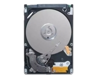 Dell - Hard drive - 6 TB