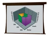 Draper Premier - Projection screen