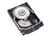 Seagate Cheetah 15K ST373454FC