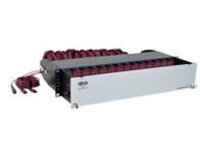 Tripp Lite 50/125 OM4 Pre-assembled 40GB-10GB Patch Panel 42 MTP QSFP-168LC