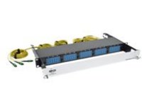 Tripp Lite 9/125 OM4 Pre-assembled 40GB-10GB Patch Panel 15MTP QSFP-60 LC
