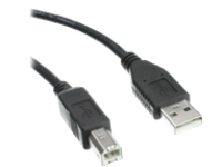 Axiom - USB cable - USB (M) to USB Type B (M)