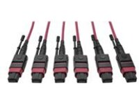 Tripp Lite 24-Fiber MTP MPO OM4 Base-8 MMF Trunk Cable 40/100GbE 3X, 11M
