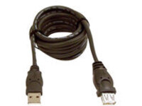 Belkin 10ft USB A/A 2.0 Extension Cable, M/F, 480Mp