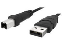 Belkin 6ft USB A/B Device Cable
