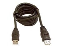 Belkin 3ft USB A/A 2.0 Extension Cable, M/F, 480Mps