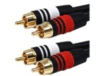 Monoprice Premium audio cable - 30.5 m