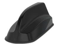 Panorama Sharkee - Antenna