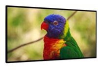 DynaScan DI651ST2 - 65" Class (64.53" viewable) LED display