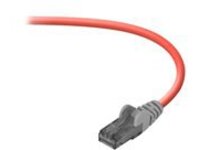Belkin - Crossover cable
