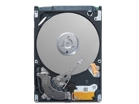 Dell - Customer Kit - hard drive