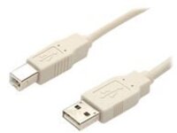 StarTech.com 3 ft Beige A to B USB 2.0 Cable