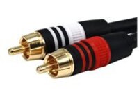 Monoprice Premium - Audio cable