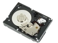 Dell - Hard drive - 10 TB