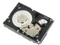 Dell - Hard drive - 8 TB