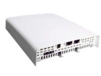 Ruckus C110 - Wireless access point