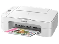 Canon PIXMA TS3120 - Multifunction printer