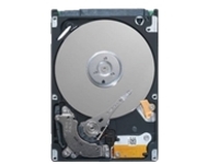Dell - Customer Kit - hard drive
