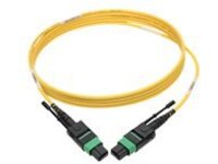Tripp Lite MTP/MPO (APC) Singlemode Patch Cable (F/F), 12 Fiber, 40/100 GbE, QSFP+ 40GBASE-PLR4, Plenum, Push/Pull Tab,…
