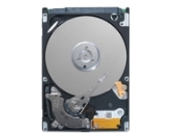 Dell - Customer Kit - hard drive