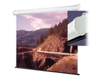 Draper Luma - Projection screen